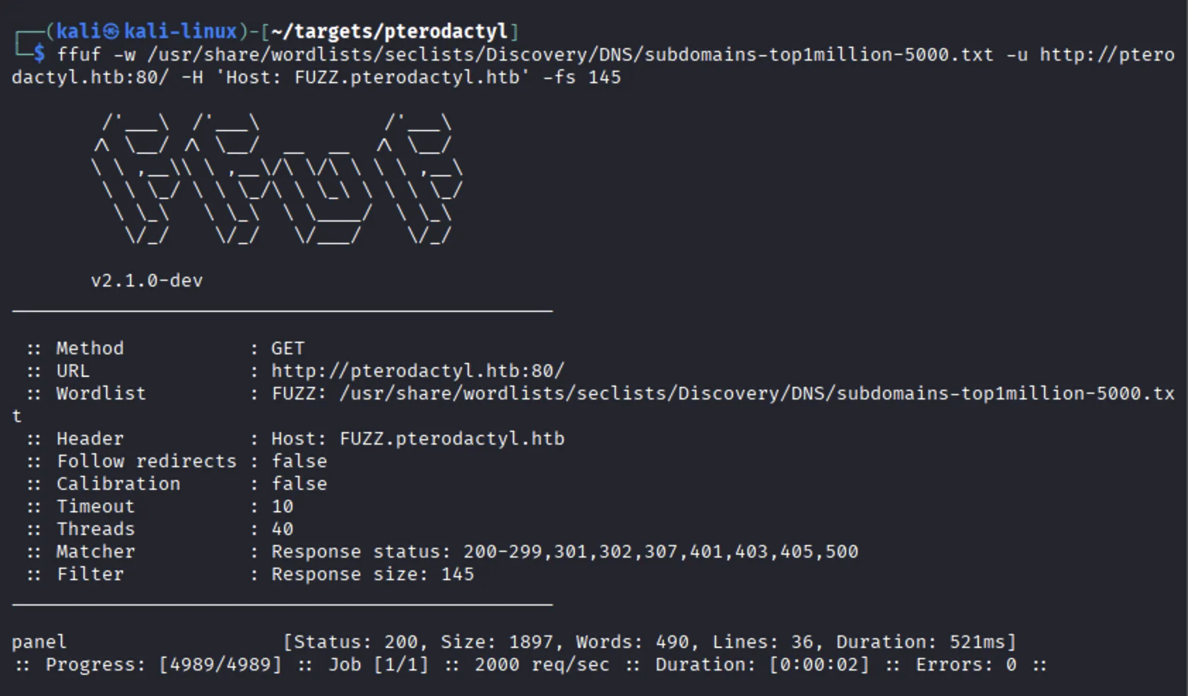 pterodactyl_subdomain_enumeration